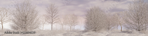 Wallpaper Mural Seasonal Background with Snow covered Trees in a Pale Mist. Serene Winter Woodland Banner. Torontodigital.ca