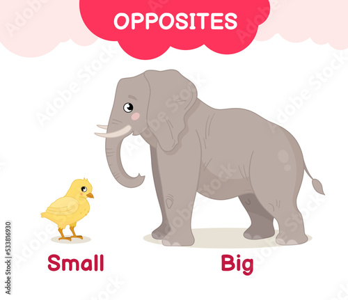 Vector learning material for kids opposites big small. Cartoon illustrations of cute elephant and chicken.