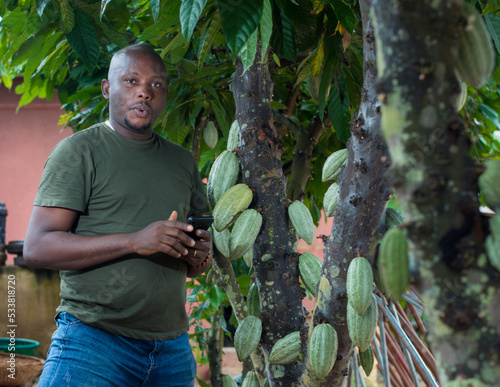 A happy African male farmer, trader, entrepreneur or businessman from Nigeria, holding a smart phone in his hands as he stand closely beside a cocoa tree filled with fruits in a farm