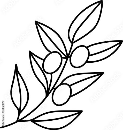 Olives with Leaves Line Art Vector Minimal Illustration