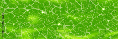 Green plant cell texture under a microscope or abstract natural wallpaper. Leaf tissue layer vector macro illustration. Microbiology background. Scientific structure.
