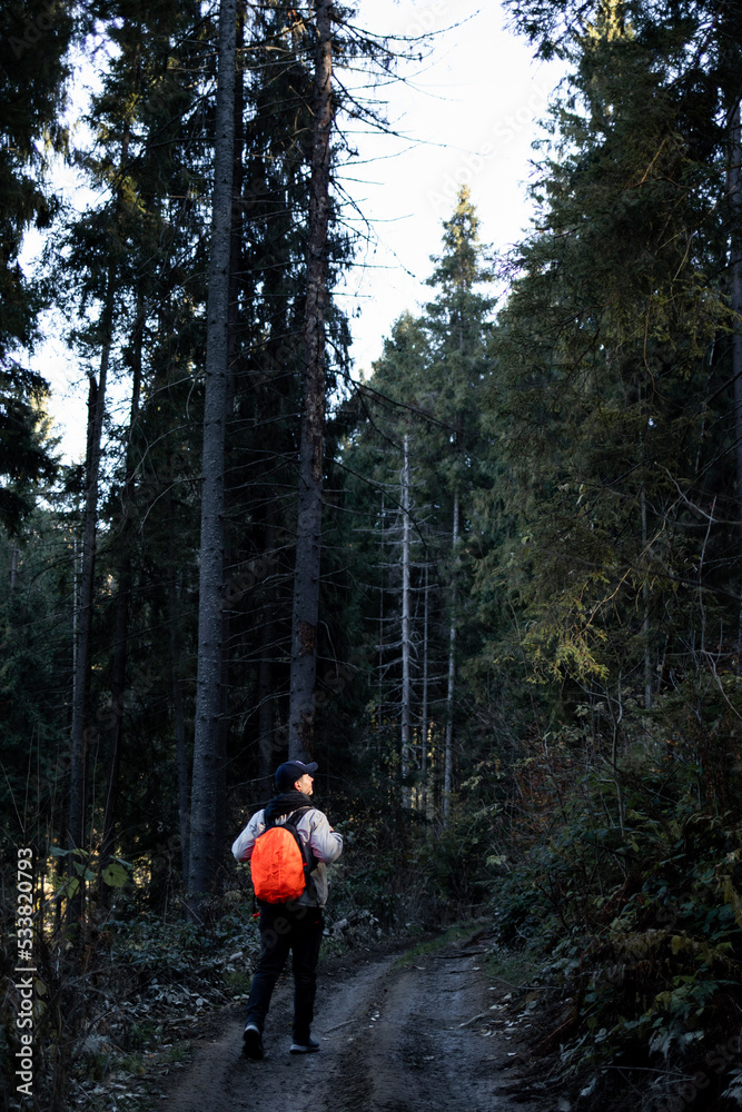 hiking in the woods hiking in the woods