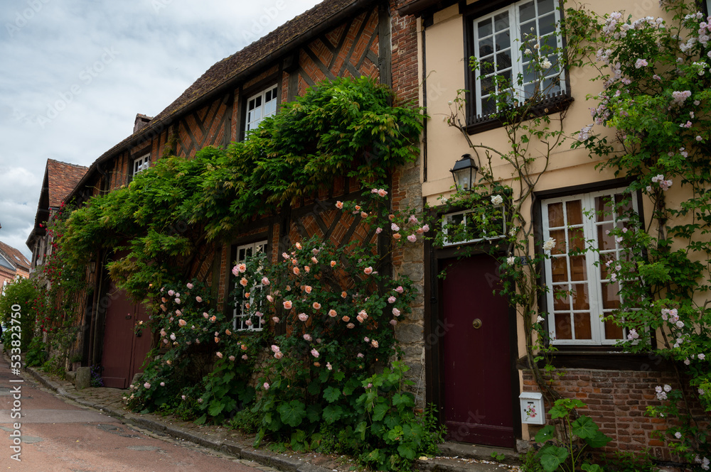 Obraz premium One of most beautiful french villages, Gerberoy - small historical village with half-timbered houses and colorful roses flowers, France