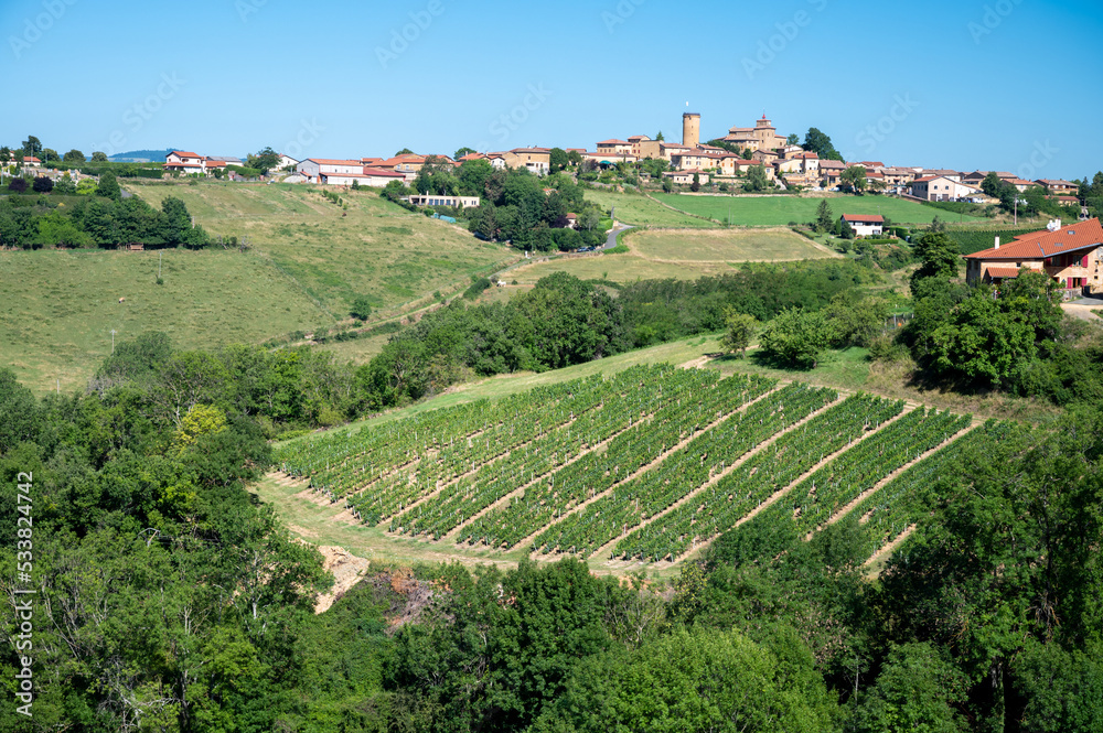 Landscape with vineyards near beaujolais wine making village Val d'Oingt, gateway to Beaujolais Wine Route and hilly landscapes of the Pierres Dorées, France