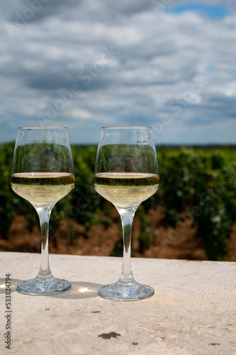 Tasting of white dry wine made from Chardonnay grapes on grand cru classe vineyards near Puligny-Montrachet village, Burgundy, France