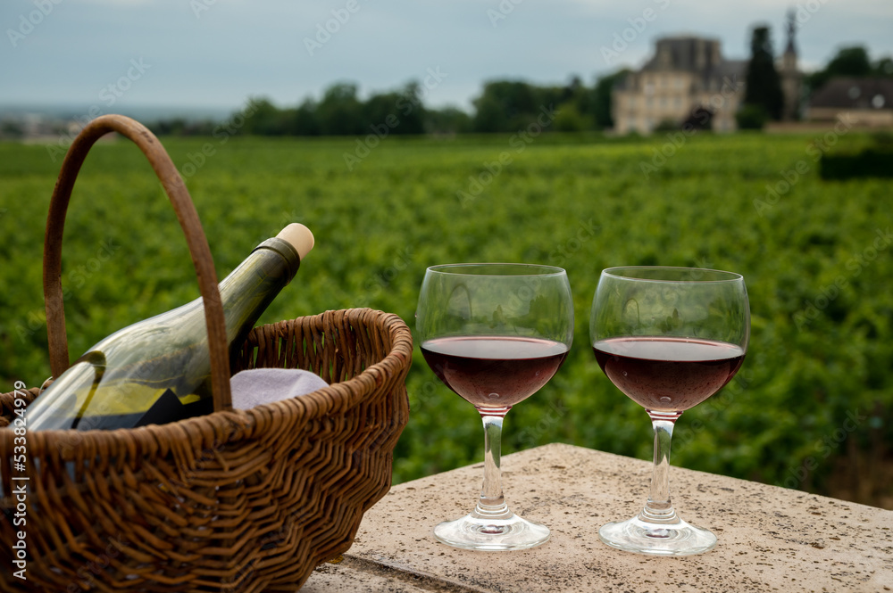 Tasting of red dry pinot noir wine in glass on premier and grand cru vineyards in Burgundy wine making region near Vosne-Romanée village, France Tasting of red dry pinot noir wine in glass on premier and grand cru vineyards in Burgundy wine making region near Vosne-Romanée village, France