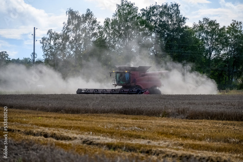 Red harvester harvests golden ripe wheat. development of agriculture © Marina Gordejeva
