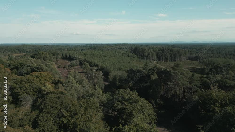 Slow aerial shot pushing forward over forest at daytime with blue sky Slow aerial shot pushing forward over forest at daytime with blue sky