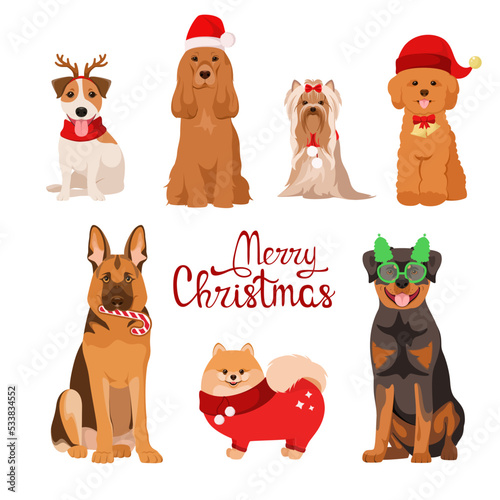A set of funny Christmas dogs on a white background. Cartoon design.
