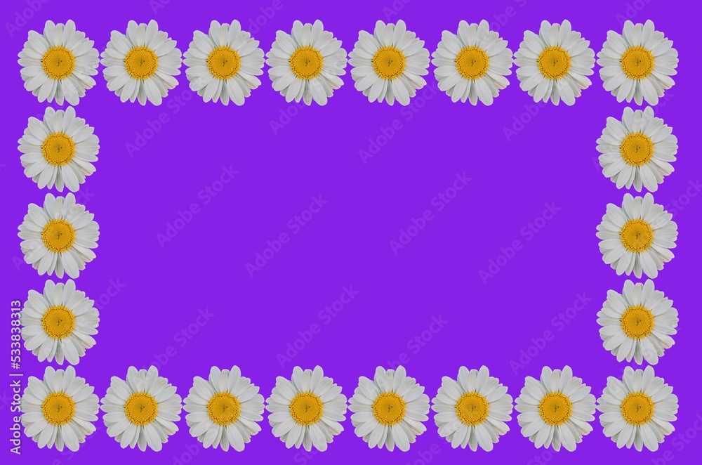 Frame box from white flowers