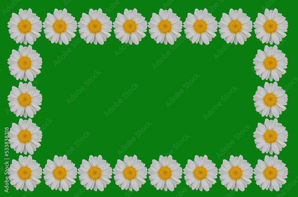 Frame box from white flowers Frame box from white flowers