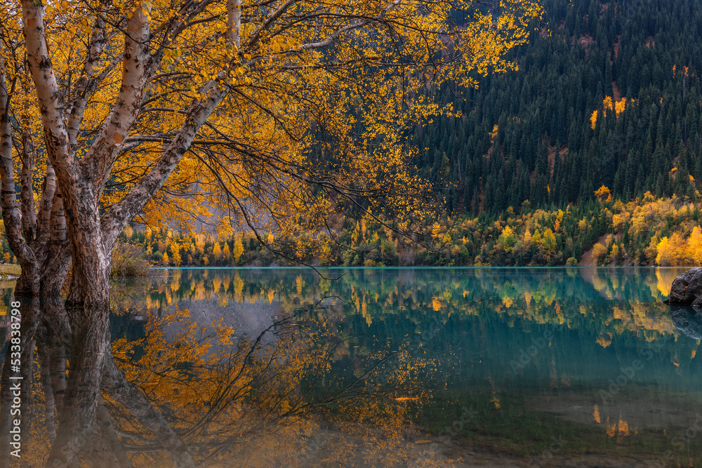 Trees on the shore of a picturesque mountain lake on an autumn day Trees on the shore of a picturesque mountain lake on an autumn day