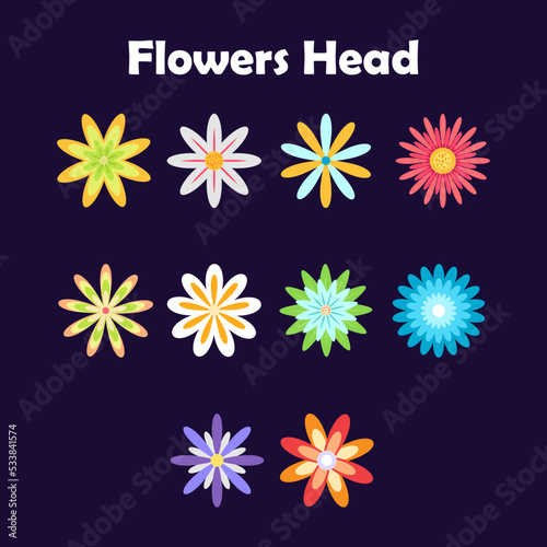 Set of colorful bloosom flowers head 