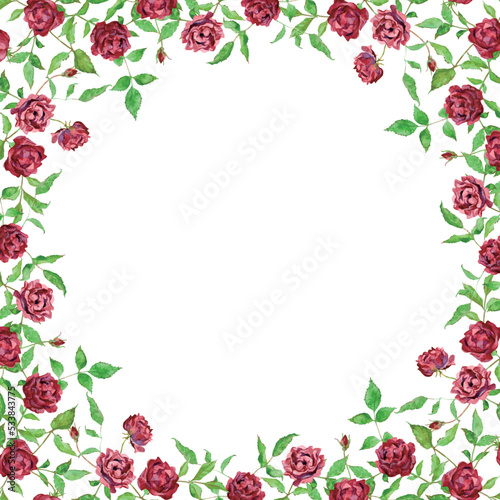 Square frame of red roses