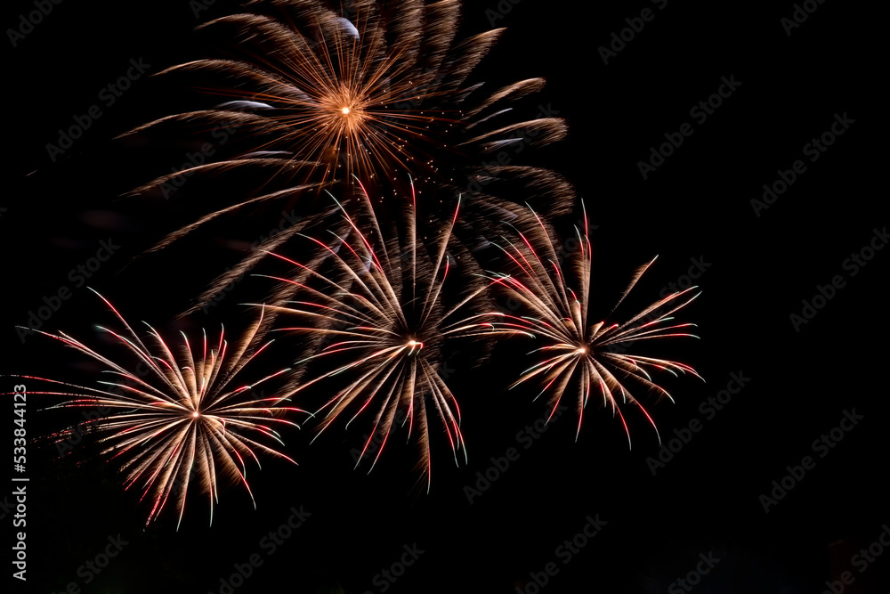 Colorful fiery flowers from exploding pyrotechnics against black night sky. Festive fireworks.