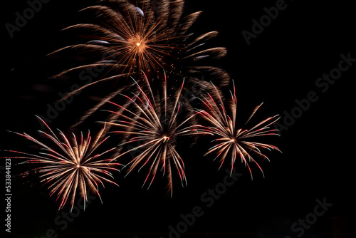 Colorful fiery flowers from exploding pyrotechnics against black night sky. Festive fireworks.