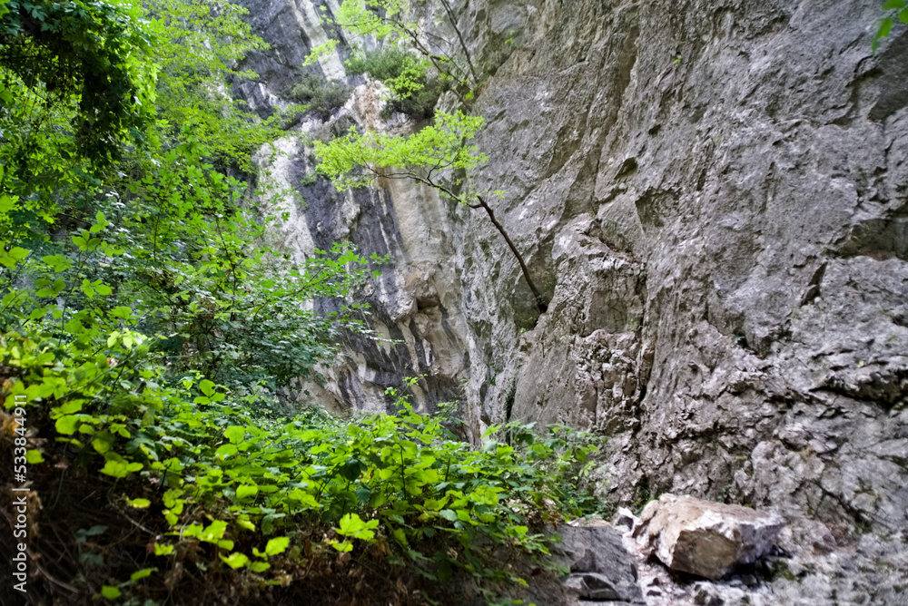 Rocce e vegetazione lungo il sentiero da Pieia all'arco di fondarca nelle marche