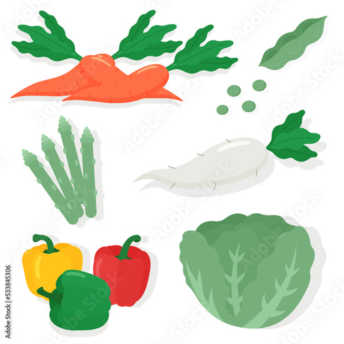 Set of vegetables fresh and healthy food.