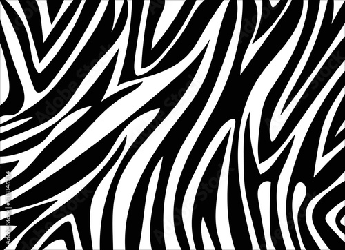 zebra skin texture. vector eps 10