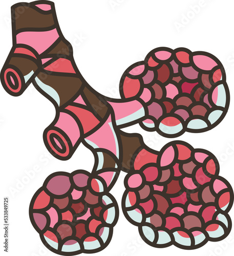Alveoli icon