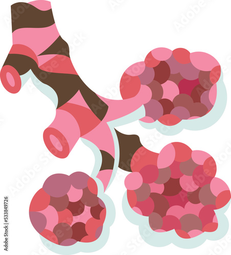 Alveoli icon