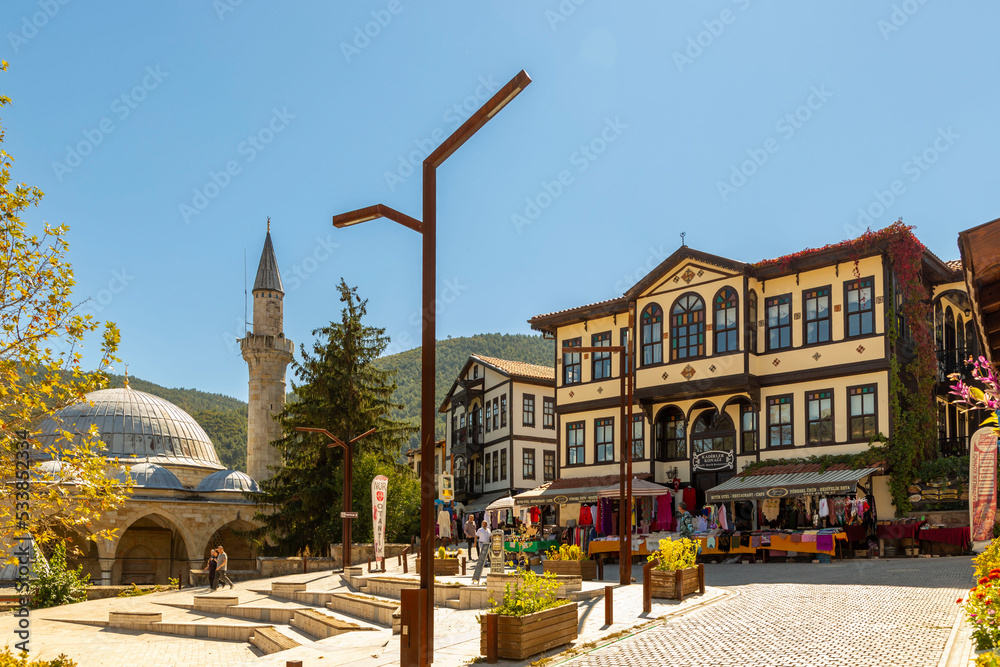 Obraz premium The Village of Tarakli, at Sakarya Turkey, Famous with Traditional and Historic Turkish Houses