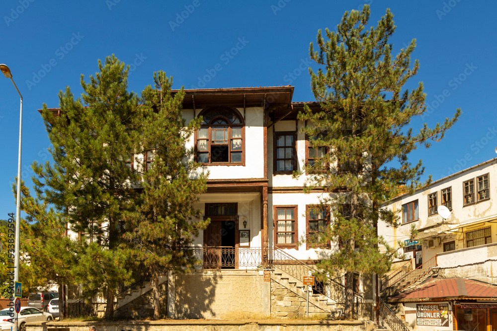 Fototapeta premium The Village of Tarakli, at Sakarya Turkey, Famous with Traditional and Historic Turkish Houses