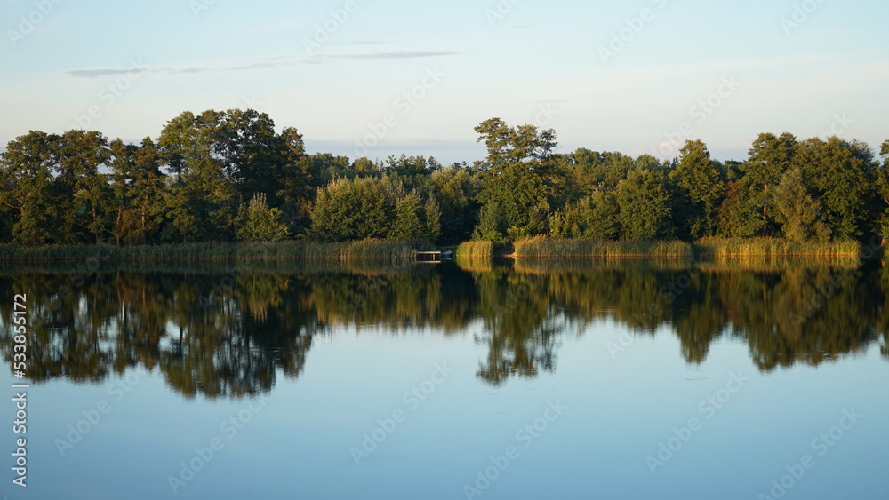 Fototapeta premium Krajobraz jeziora, trzciny, drzewa, jezioro w lesie. Lake in the forest.