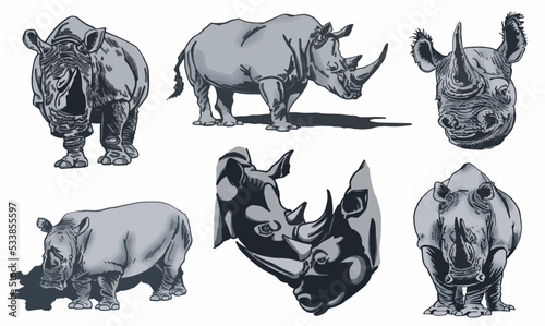 Color  set of rhinoceroses on white isolated, vector illustration,graphical drawing. Stylish print elements, savanna habitant