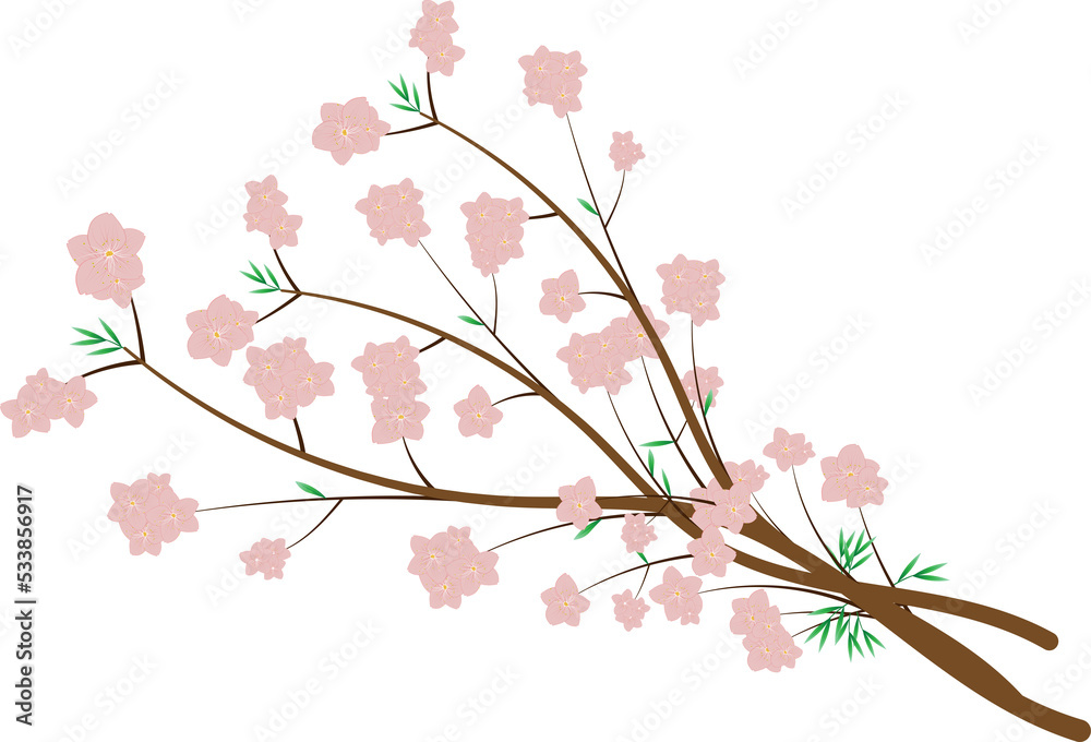 sakura. sakura.