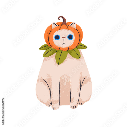 Halloween cat with pumpkin on head. Cute funny kitty on Helloween holiday. Am...
