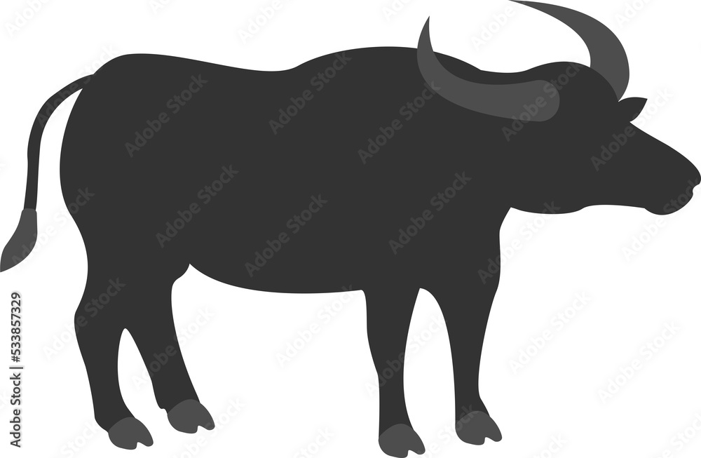 Fototapeta premium buffalo