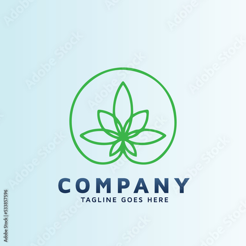logo for store and website dedicated to Well being by the CBD