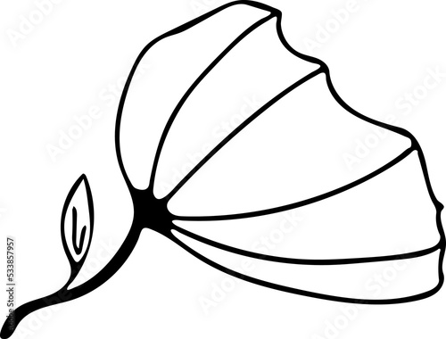 Hand drawn Floral, plants doodles illustration