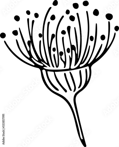 Hand drawn Floral  plants doodles illustration