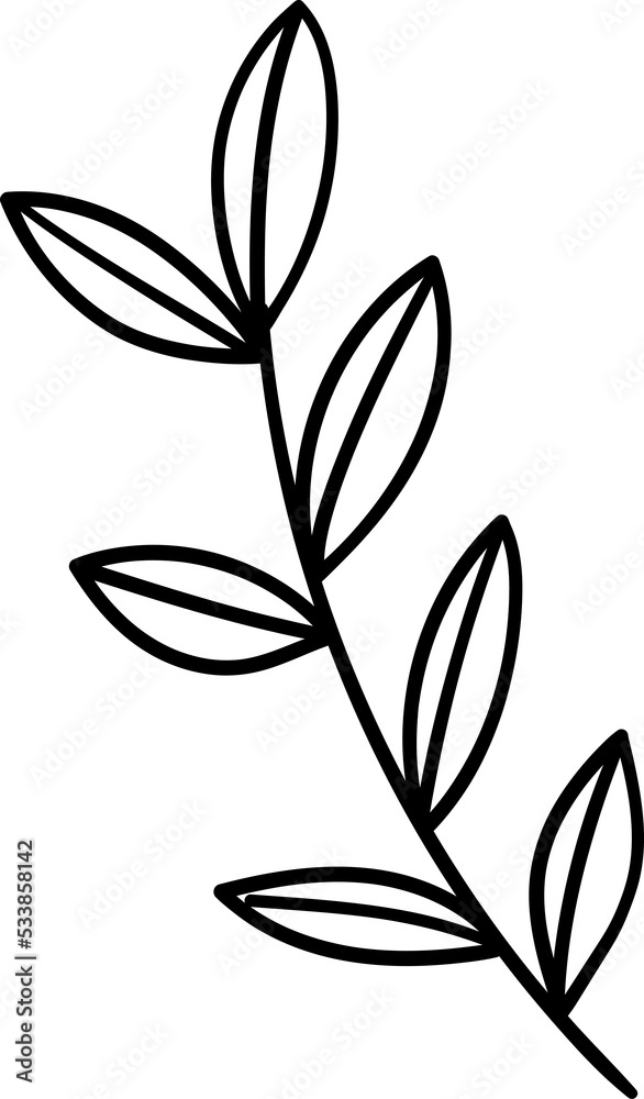 Hand drawn Floral, plants doodles illustration Hand drawn Floral, plants doodles illustration
