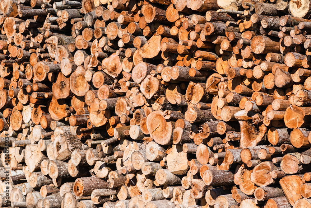An alternative to expensive gas fuel.Pile of logs on a sunny summer day.firewood solid fuel found background. An alternative to expensive gas fuel.Pile of logs on a sunny summer day.firewood solid fuel found background.