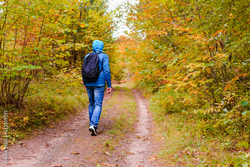 A young male hiking with a backpack.Man walks along the autumn forest path way.A healthy lifestyle in nature.Rear view. © ARVD73