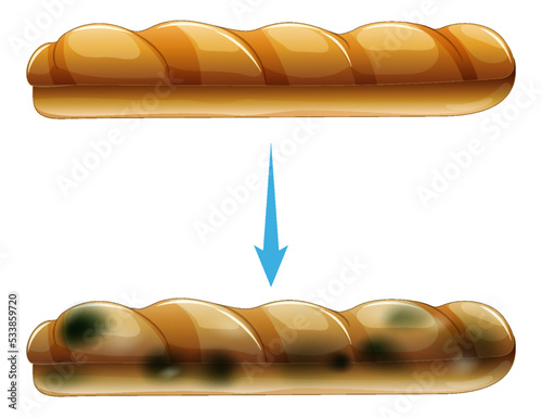 Inedible bread with mould