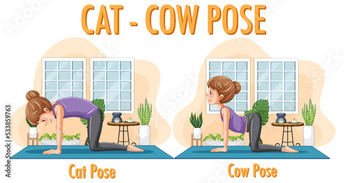 Yoga at home with cat cow pose