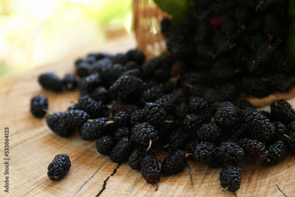 Heap of delicious ripe black mulberries on wood stump Heap of delicious ripe black mulberries on wood stump