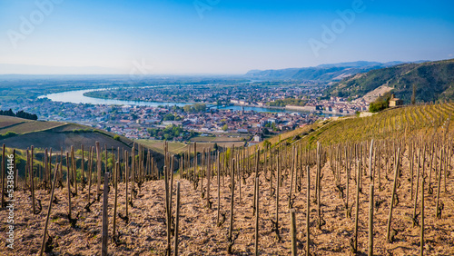 View on the Chapoutier's vineyards of Tain l'Hermitage, with the city and the Rhone river valley  and the mountains of Ardeche in the background photo