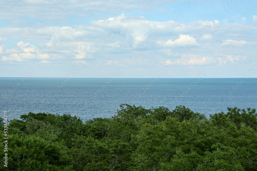 Picturesque view of green trees near tranquil sea