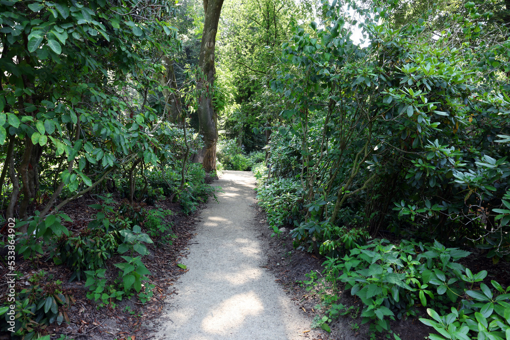 Picturesque view of path in beautiful forest Picturesque view of path in beautiful forest