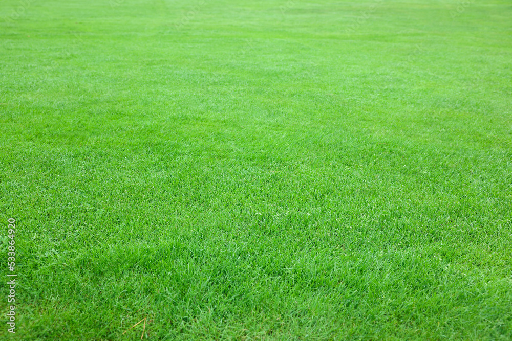 Beautiful freshly cut green lawn as background Beautiful freshly cut green lawn as background
