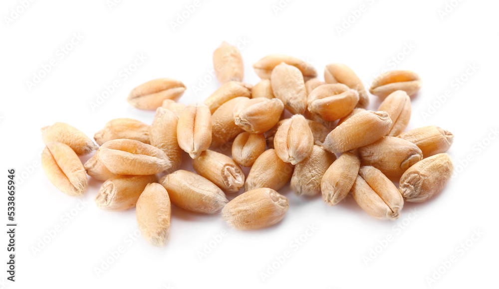 Pile of wheat grains on white background