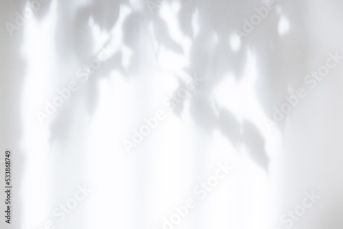 White cement texture wall with gray shadow of leaf plant. Summer abstract background. Minimal concept. Copy space. Mockup.