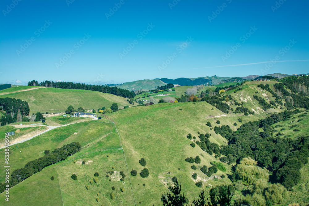 Rural landscape with farmland pasture in hilly country of Hawke's Bay. Iconic New Zealand