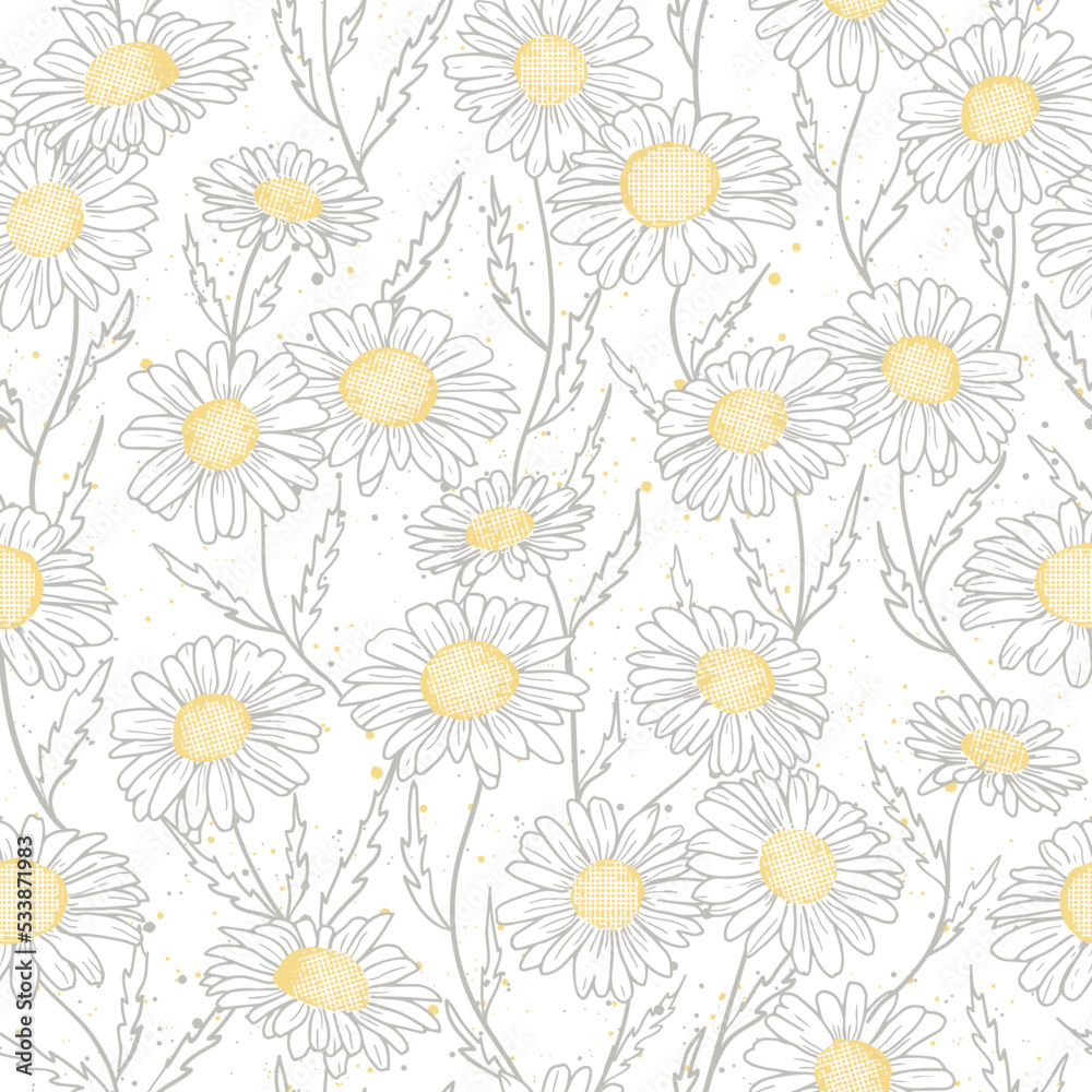 Delicate daisy print - seamless vector background. Vector seamless pattern with daisies on white blue