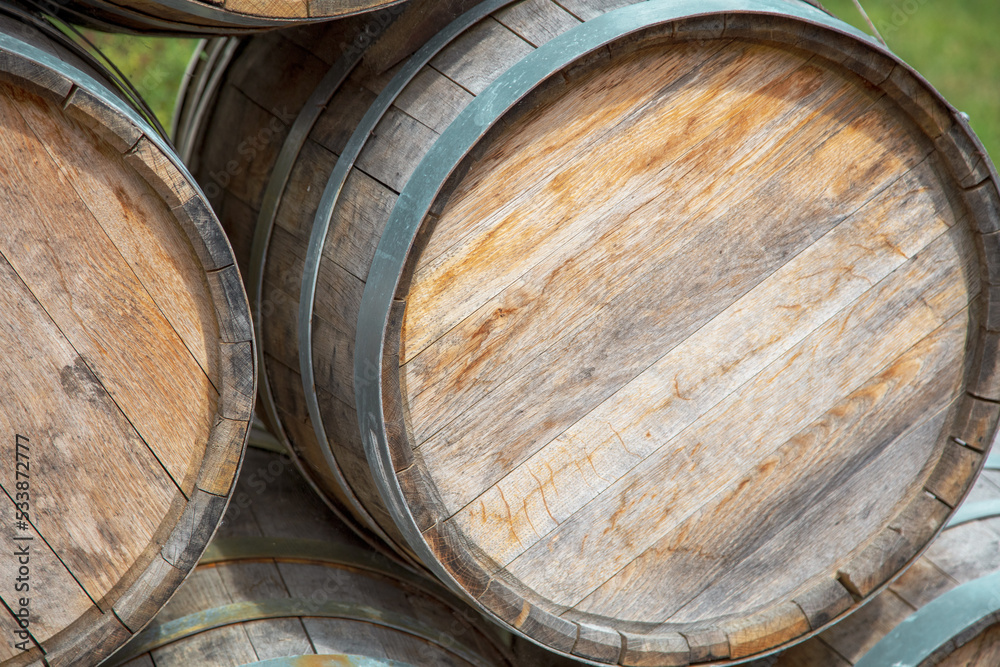 Oak barrels for storing wine. Oak barrels for storing wine.
